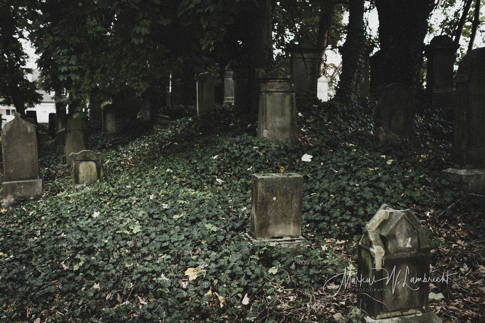 Steinheim (Westfalen), Jüdischer Friedhof